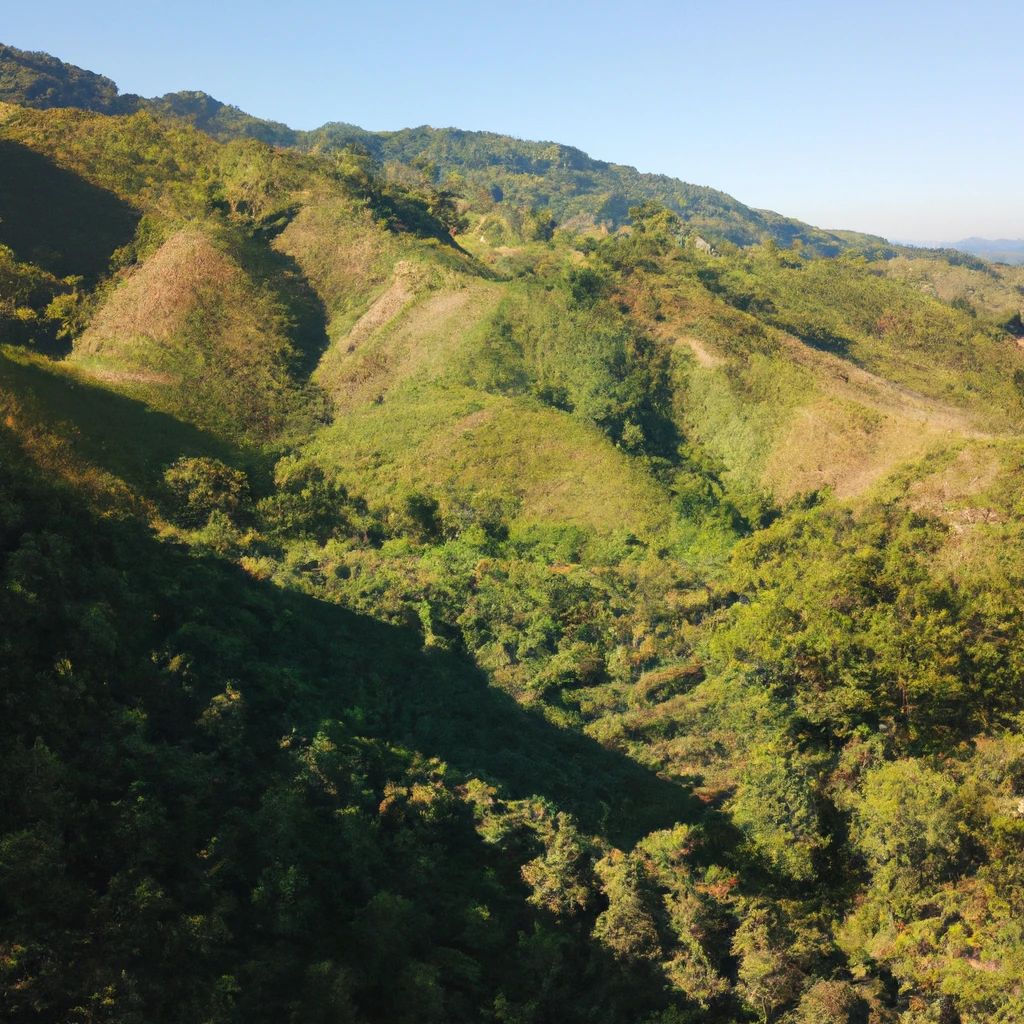 From Seed to Cup: Sustainability at Finca Las Mercedes