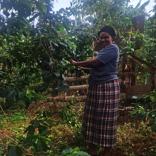 Elizabeth Waithera standing among mature SL28 coffee trees at Mawiko Farm in Murang'a County, Kenya