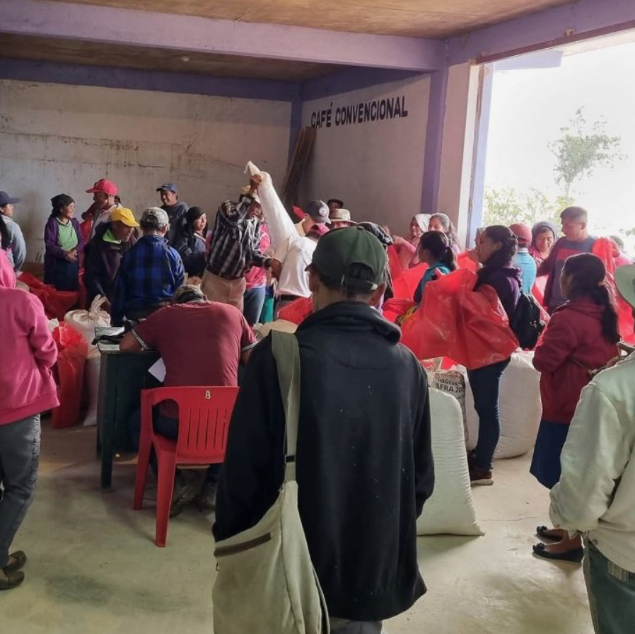 Inside Oaxaca’s Sierra Norte: The Smallholder Farms Shaping Mexico’s Brightest Coffees