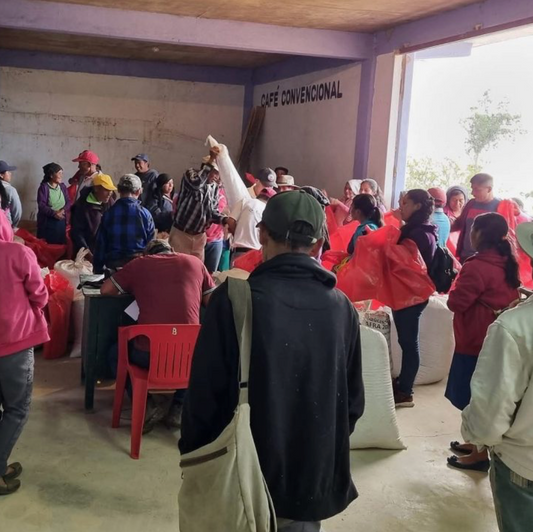 Inside Oaxaca’s Sierra Norte: The Smallholder Farms Shaping Mexico’s Brightest Coffees