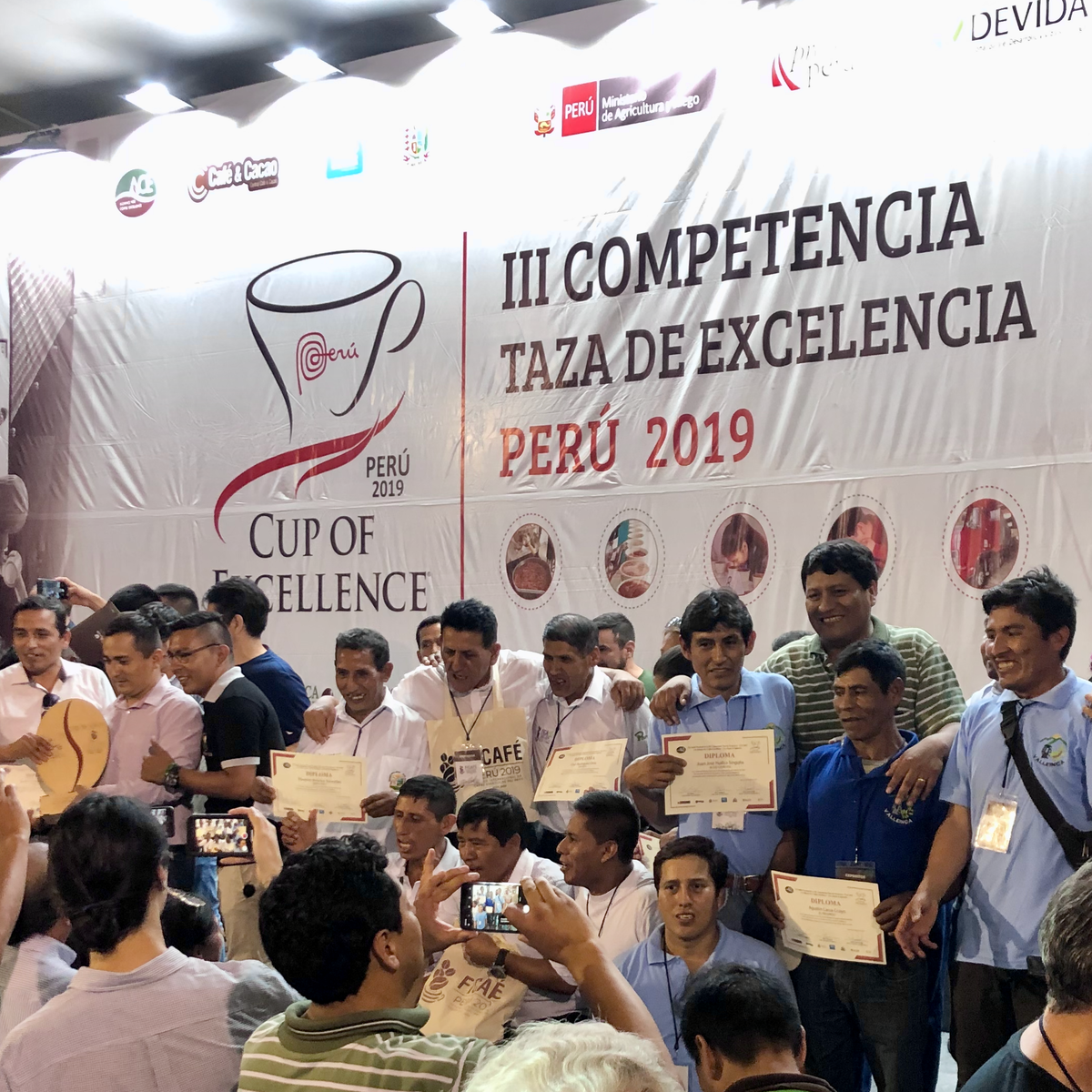 Danny judging the Peruvian Cup of Excellence in 2019
