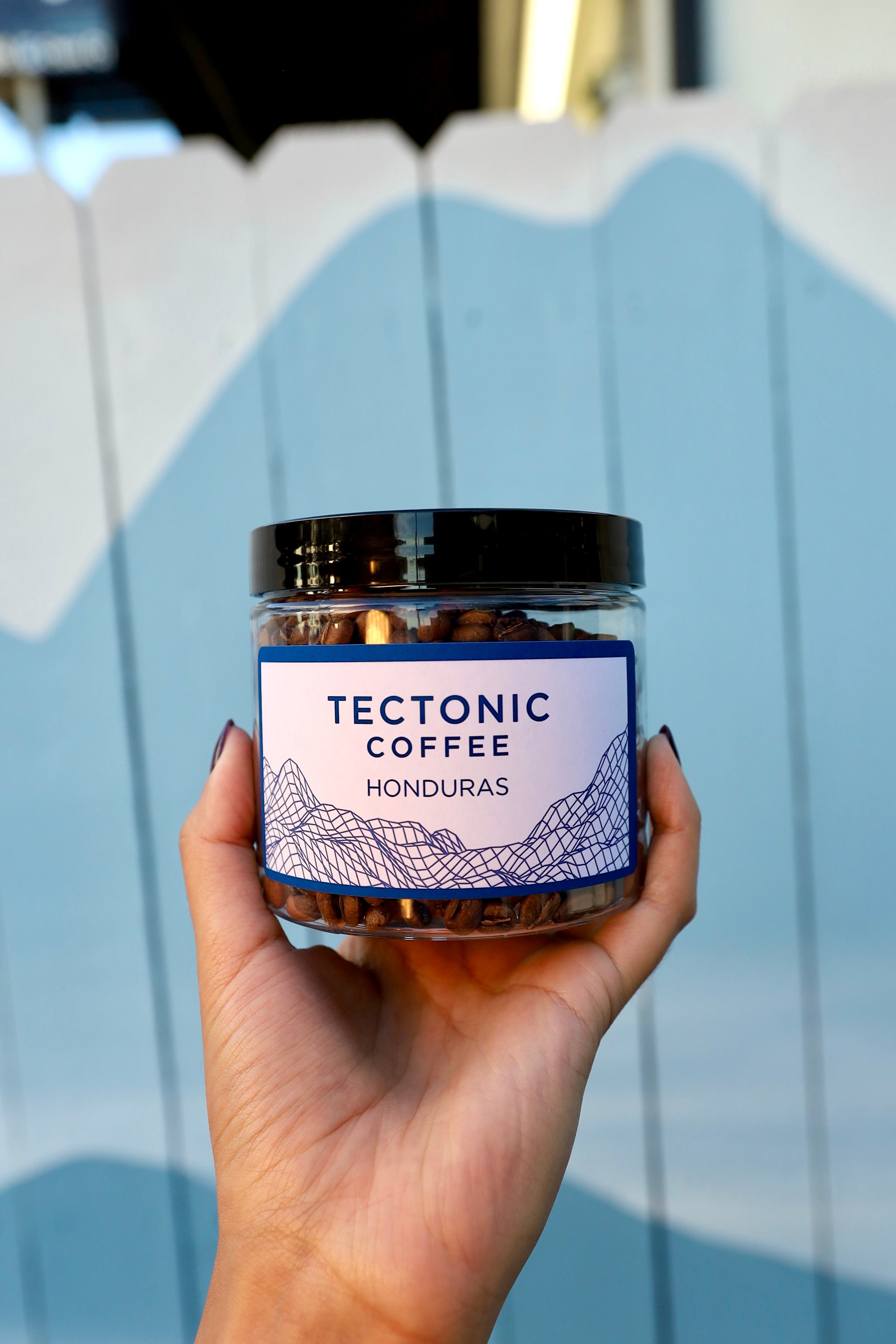 Honduras - La Tanairi - Geisha - Lot 57A – Tectonic Coffee Co.