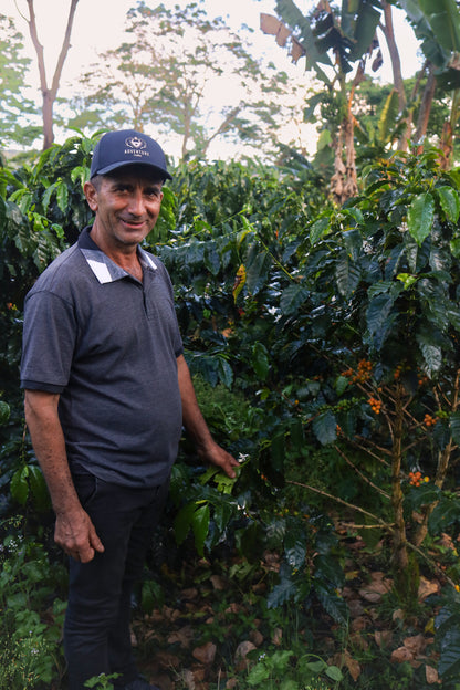 Man standing among coffee plants on a coffee farm