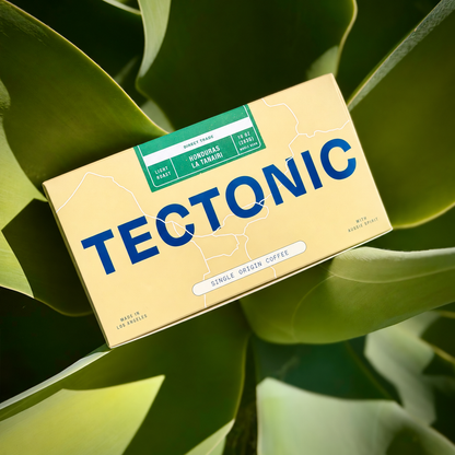 Tectonic Honduras La Tanairi Natural coffee box among green foliage, 10 oz (283 g).