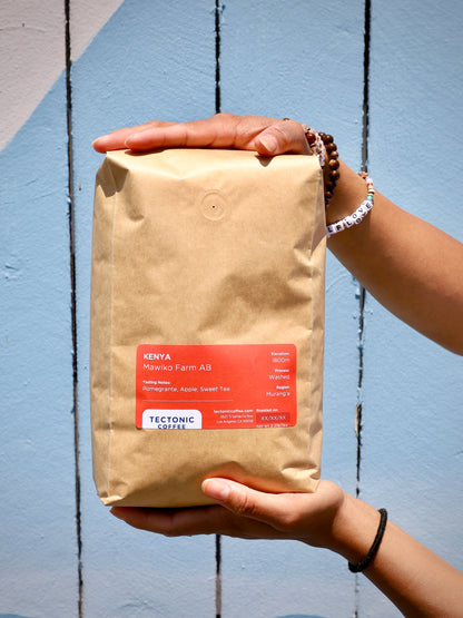 Kenya - Mawiko Farm - 2026 - Light Roast