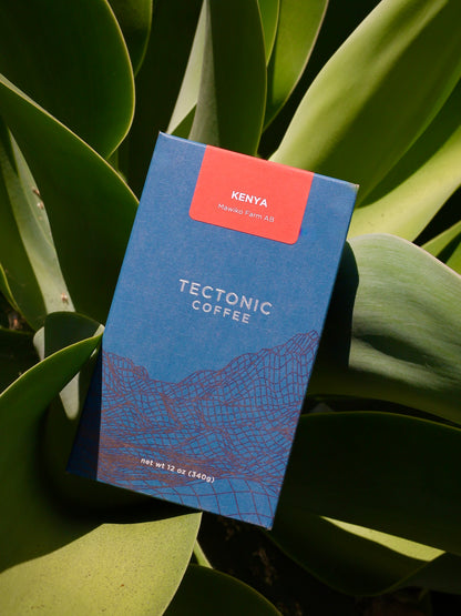 Kenya - Mawiko Farm - 2026 - Light Roast