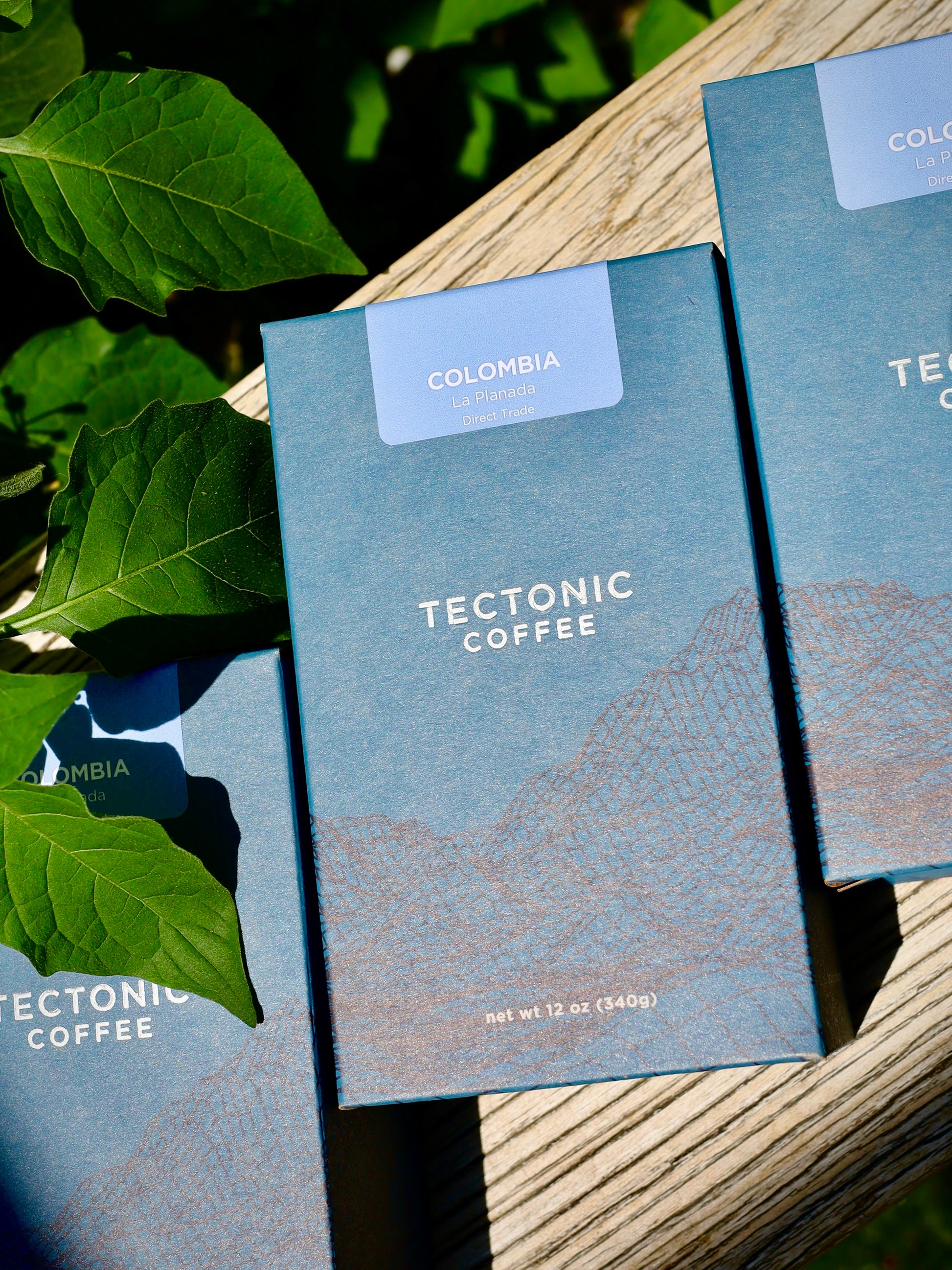Tectonic Coffee packages on a wooden surface with green leaves in the background