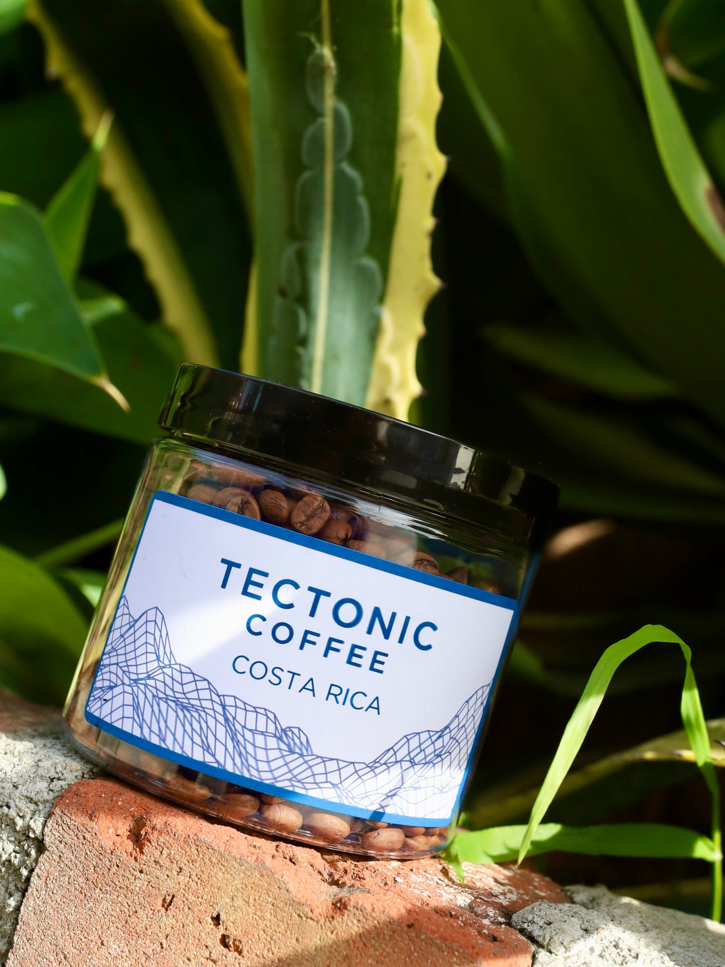 Costa Rica - Finca La Lia - Red Honeyed - 2026